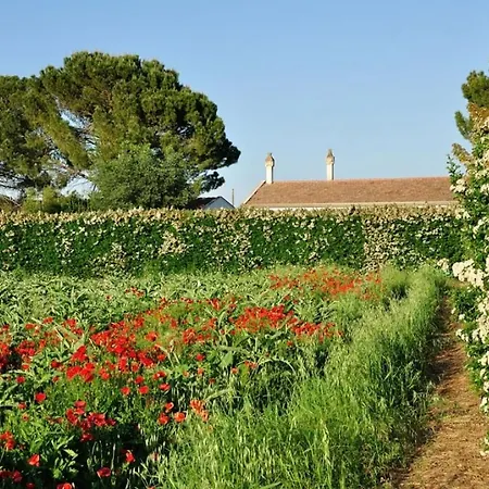 Daire Sleeps 2 Pool Wifi T764325 Montescaglioso