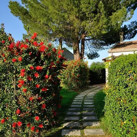 Sleeps 2 Pool Wifi T764325 Daire *